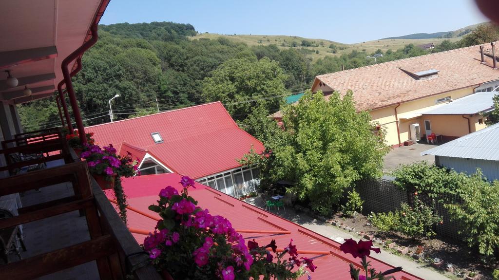 Pensiunea Balan Piatra Neamt Bagian luar foto